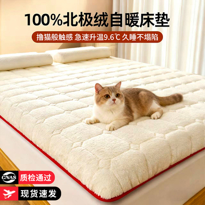 【加厚保暖】暖绒床垫软垫子