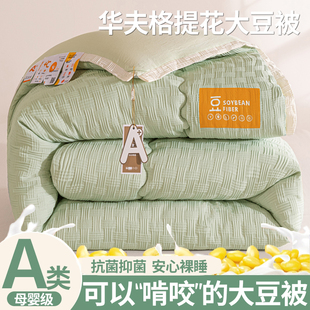 A类大豆纤维被子被芯棉被加厚保暖冬被四季 通用春秋被单人空调被a