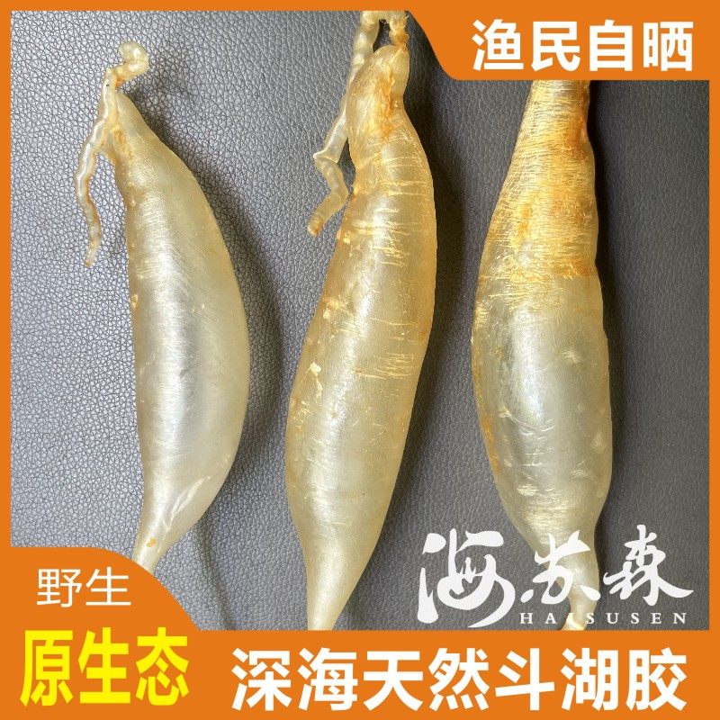 北海深海鳘鱼鱼胶斗湖胶海鱼胶花胶鱼鳔渔民自晒鱼胶实惠炖汤