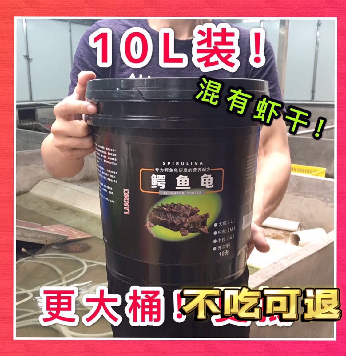 鳄鱼龟苗鳄龟饲料鳄龟龟粮佛鳄爆鳄龟苗种龟鳄龟专用饲料补钙营养