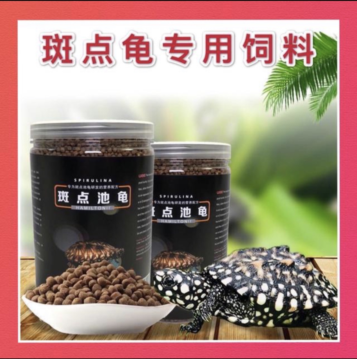 斑点龟饲料龟粮斑点龟小乌龟