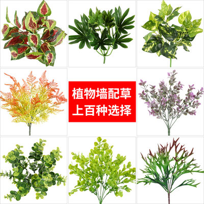 植物墙蕨类波斯插花配草假叶子