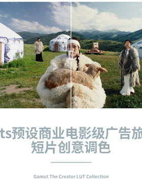 Luts预设商业电影级广告旅拍短片创意艺术风格化调色模版
