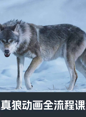 Blender逼真欧亚狼动画完整全流程课程建模渲染雕刻绑定动画毛发
