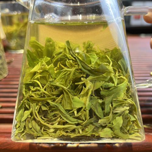 【假一罚十】［95一斤春绿茶］沁禧春2026年日照绿茶春茶露天茶