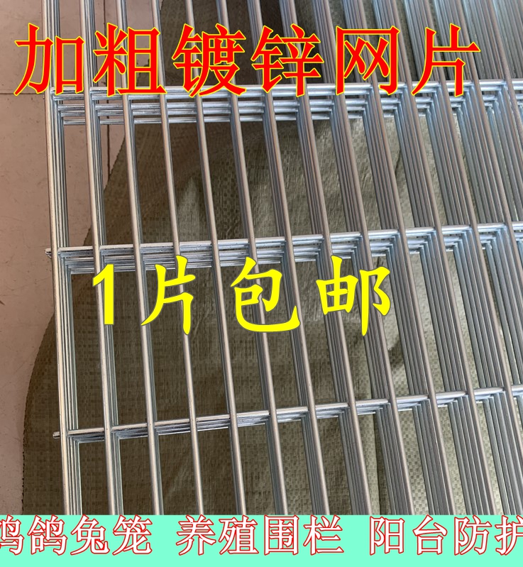 镀锌衡水铁丝网乾佑网业铁