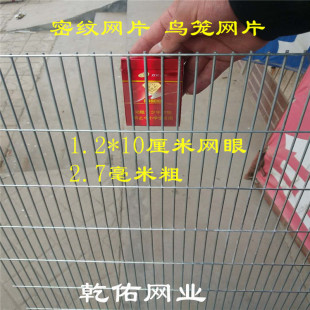 加密1.2厘米小长孔鸟笼具专用网片鸽笼镀锌电焊养殖仓鼠花架网格