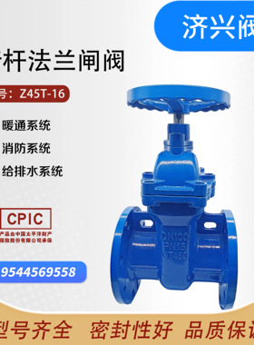 Z45T-16暗杆法兰闸阀不锈钢铜芯  铜杆铜芯DN50 65 80  100  150