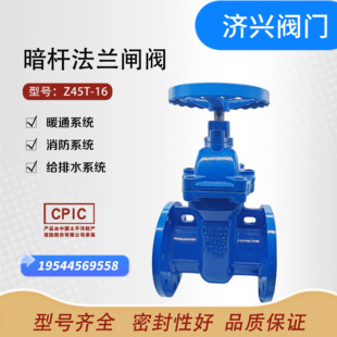 Z45T-16暗杆法兰闸阀不锈钢铜芯 铜杆铜芯DN50 65 80 100 150