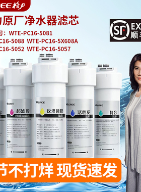 格力净水器滤芯WTE-PC16-5088/5081/5X608A 滤芯原厂 3 年免换