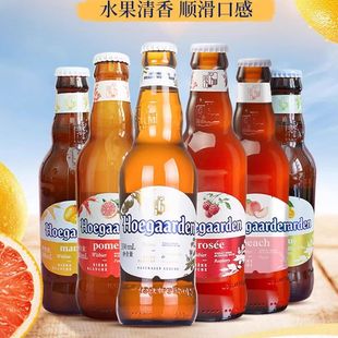 福佳全家福福佳白啤玫瑰红珊瑚柚琥珀橘阳光芒果味精酿啤酒组合新