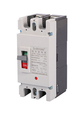 塑壳断路器2P空开100A150A200A250安 单相220V双极大功率空气开i.