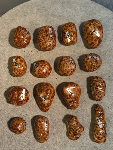 统一沉水高品质高货榴花把件 香味个个都绝绝子 太行柏把件