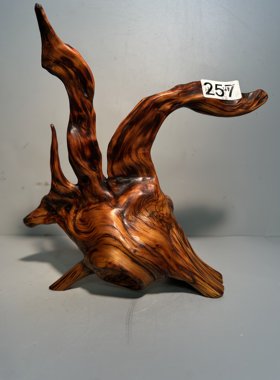 精品黑油万年骨料鸟柏独树摆件 油性足密度大 太行柏