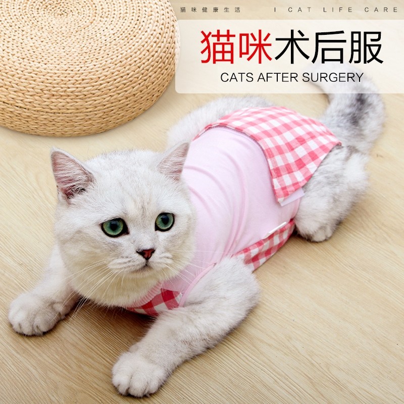 防挣脱母猫绝育服高弹性猫手术服透气防舔咬术后恢复服母猫断奶服