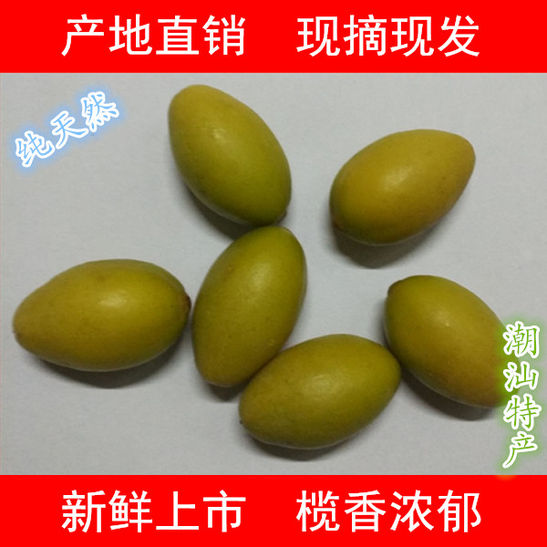 潮汕现摘新鲜橄榄甘香种包邮