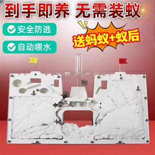 蚂蚁生态箱大型城堡超大家养宠物观察盒儿童宠物饲养蚂蚁窝巢穴