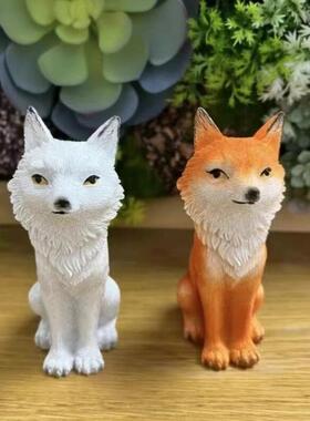 九尾狐狸多肉花盆景装饰摆件户外微景观猴尾柱造景白色小狐狸尾巴