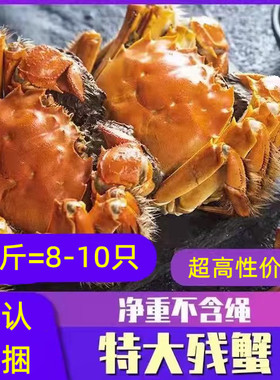 大闸蟹现货鲜活螃蟹全公母蟹缺腿蟹断腿蟹残次蟹残蟹特大