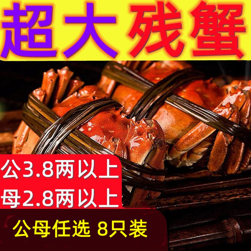 大闸蟹鲜活螃蟹全公母蟹缺腿蟹断腿蟹残次蟹残蟹特大