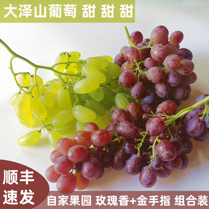 大泽山葡萄玫瑰香金手指应季