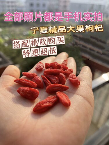 宁夏精品新货头茬大果枸杞超干本色无熏制茶农家免洗即食野生