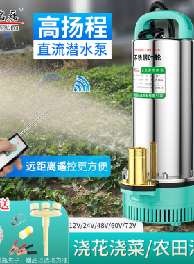 名磊12V24V48V60V直流潜水泵电瓶电动车抽水机家用农用小型抽水泵
