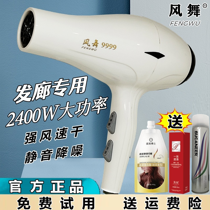 风舞电吹风机家用大风力发廊专用大功率速干理发店宿舍冷热风静音