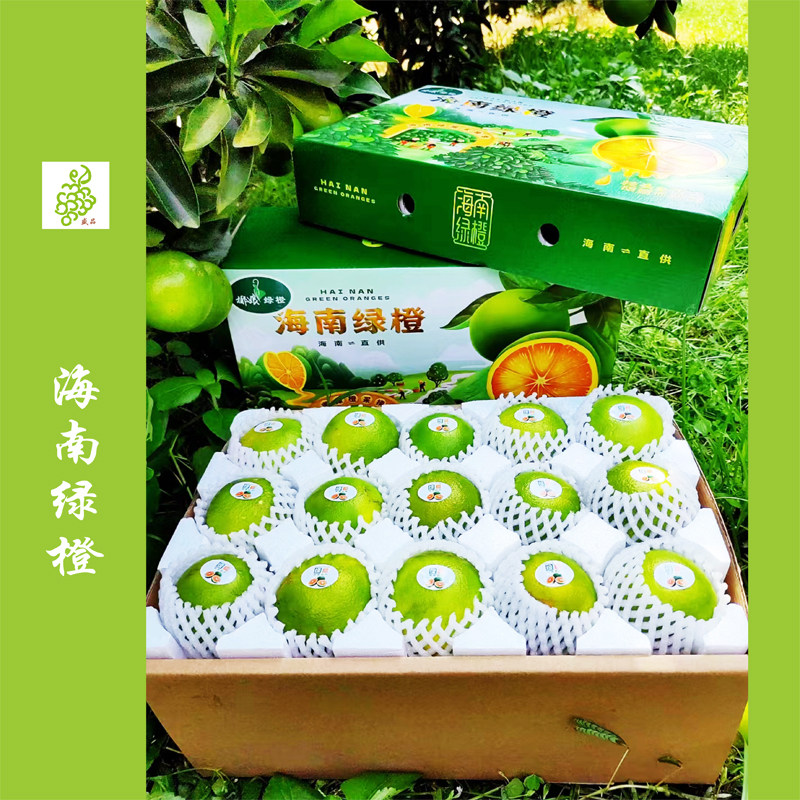 海南绿橙12斤装 Green orange 当季新鲜水果果园直发地理标志产品