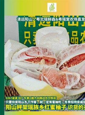 广东阳山蜜柚红心柚子清远产地直发新鲜红肉蜜柚薄皮大果三红新鲜