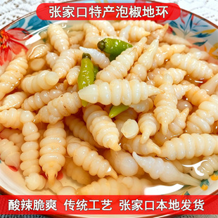 张家口坝上特产泡椒地环酸辣爽口螺丝菜宝塔菜下饭菜牯牛地葫芦菜