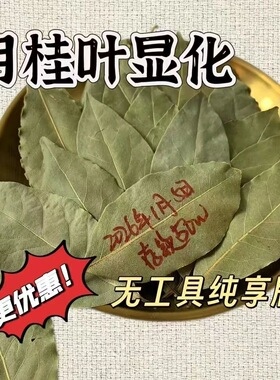 【师傅推荐】正版精品月桂叶显化香守护香叶片纯享版家用香薰招财