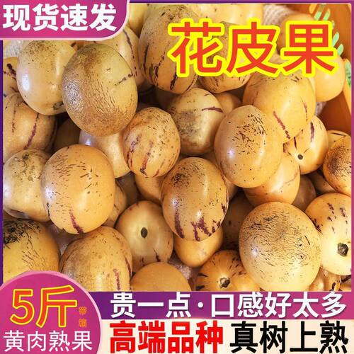 云南石林人参果新鲜水果当季七彩人生心黄肉圆果（大果）