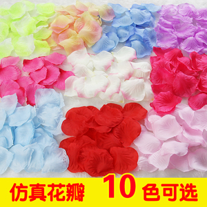 彩色花瓣 ins风10个花色入套装 仿真花瓣 拍摄道具花瓣摄影道具