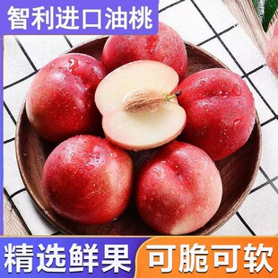 正宗进口智利油桃新鲜水果白肉蜜桃子脆甜多汁桃驳李应季孕妇水果