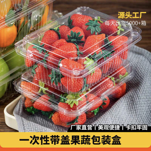 【一斤装特惠】500B一次性草莓打包盒长方形透明一斤装带盖水果盒
