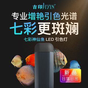 吉印DF鱼缸七彩鱼专用LED灯埃及增色潜防水鸽子天子蓝白支架吸盘