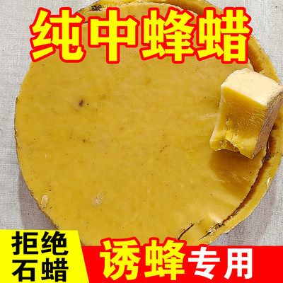 中蜂诱蜂蜡养蜂土蜂蜡蜜蜂蜡