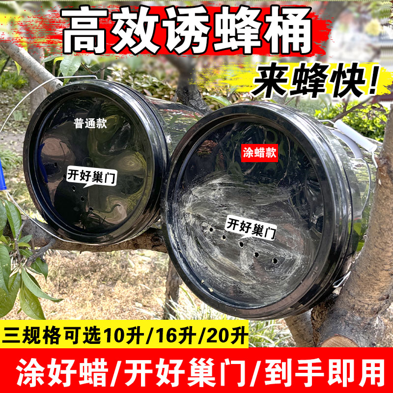 涂蜡诱蜂桶黑色塑料桶