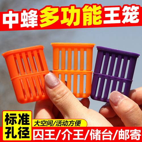 多功能中蜂王笼塑料囚王笼储台器介王器养蜂设备装蜂王储王器包邮