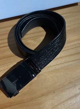 XP361    雷迪卡丹美裹推荐男士不锈钢自动扣简约大气腰带