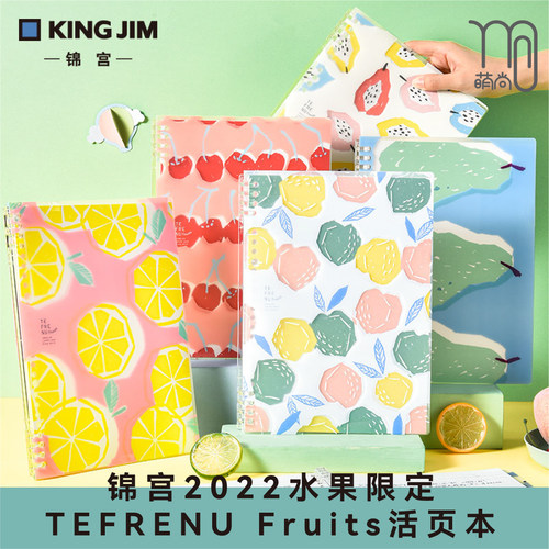 2022水果限定pp不硌手B5活页夹