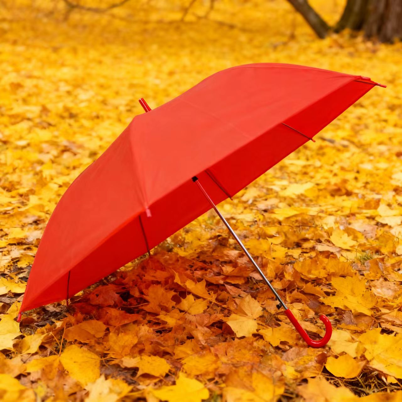 红伞结婚用的红色长柄雨伞运动会舞台表演道具伞接亲伴娘婚庆出嫁