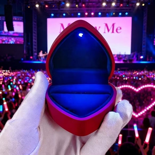 戒指盒结婚对戒盒婚礼求婚用的收纳爱心首饰盒子创意情侣交换展示