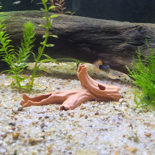 鱼缸装饰仿真沉木树洞鱼虾躲避屋庇护所水族箱造景3D打印创意摆件