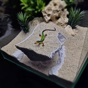爬宠饲养缸造景洞穴爬虫躲避守宫蜥蜴蛇角蛙乌龟干湿高低地形台阶