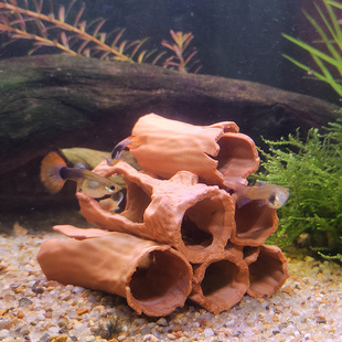仿真沉木树洞小鱼小虾躲避屋庇护所鱼缸装饰水族箱造景3D打印摆件