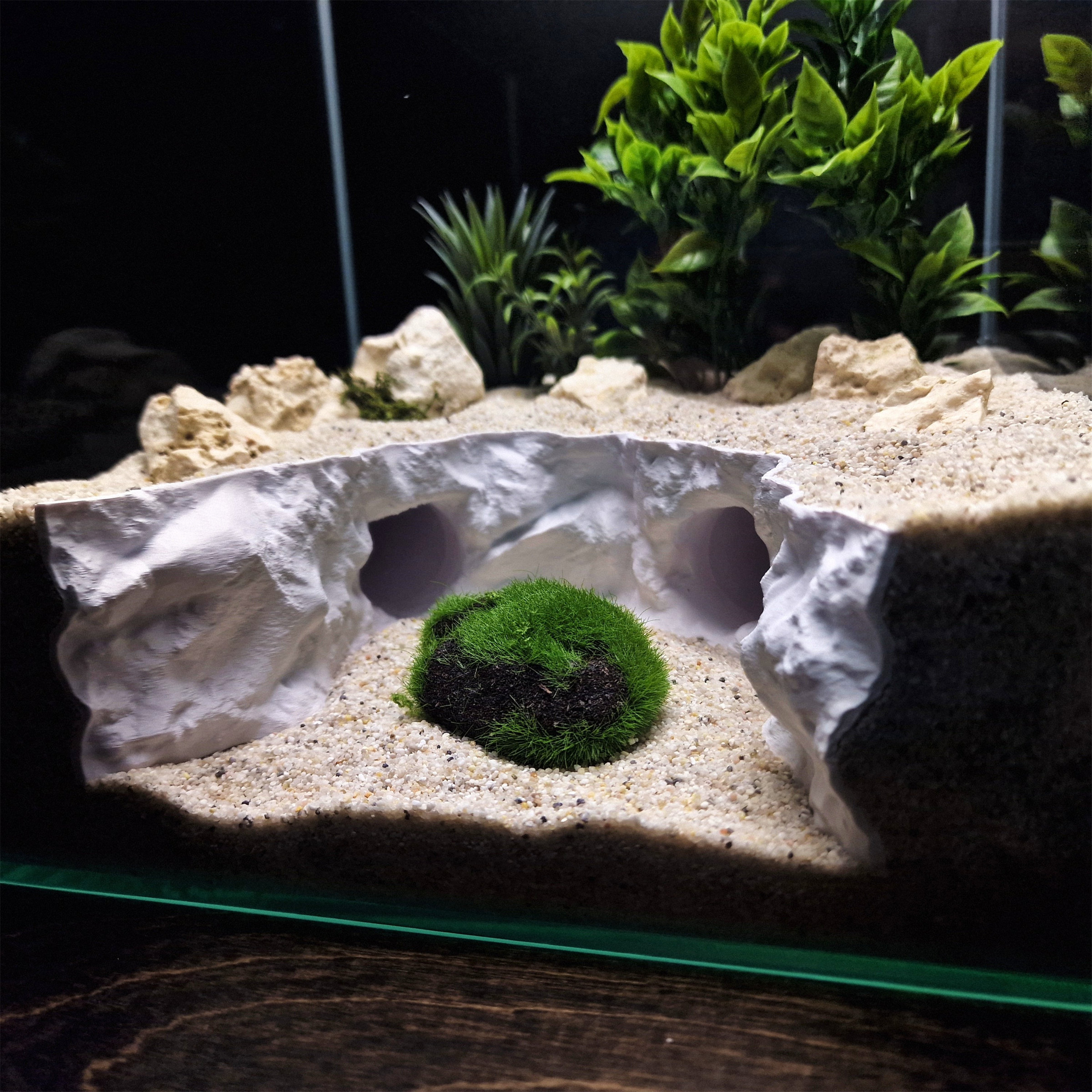 双隧道洞穴鱼缸水陆爬宠缸