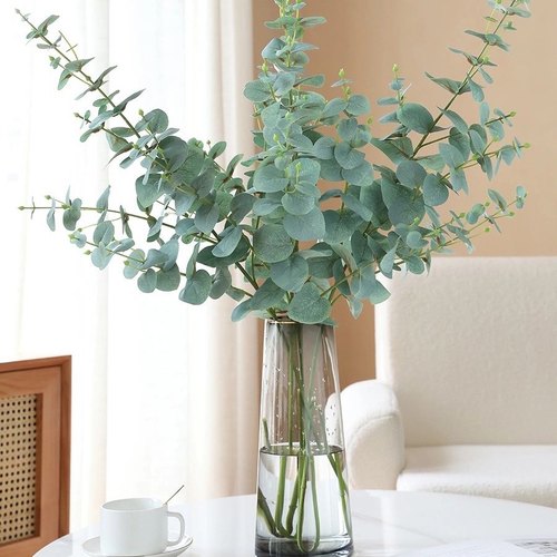 尤加利鲜花水培鲜切枝观叶植物家庭花艺室内桌面瓶插花满室清香