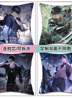 盗墓笔记张起灵吴邪瓶邪定制抱枕
